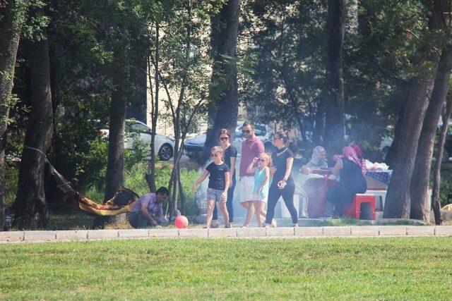 &Ccedil;akırlar Korusu Ziyaret&ccedil;i Akınına Uğruyor 2