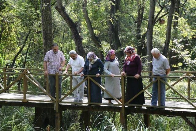 &Ccedil;akırlar Korusu Ziyaret&ccedil;i Akınına Uğruyor 3