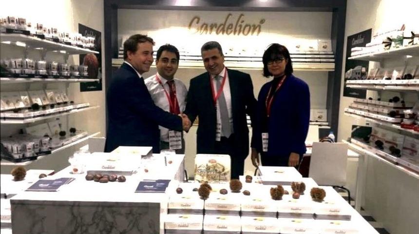 İlka Şekerleme Kuzey Amerika Pazarında