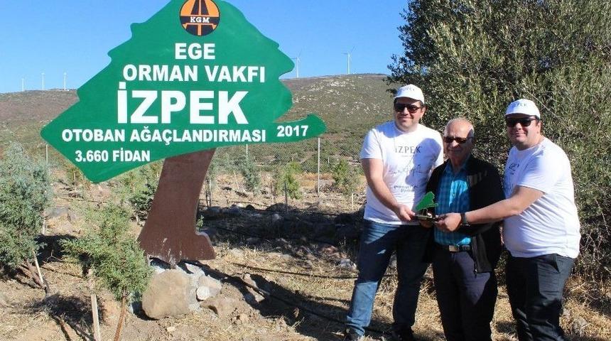 Her Daire İçin Bir Fidan