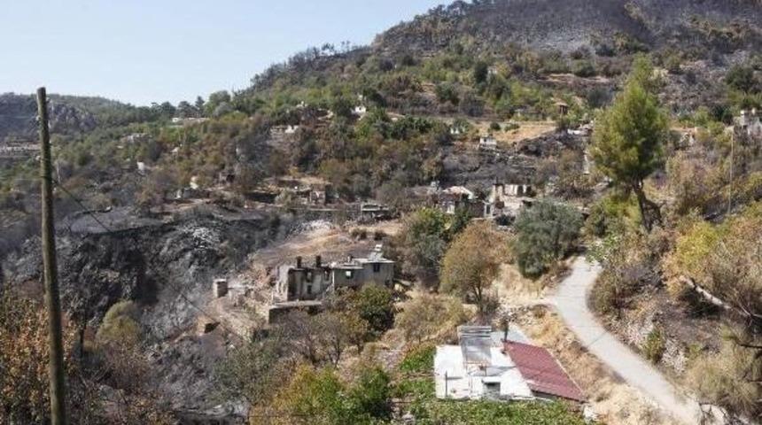 Bakan Eroğlu, Yangının Vurduğu Zeytink&ouml;y'&uuml; Ziyaret Etti