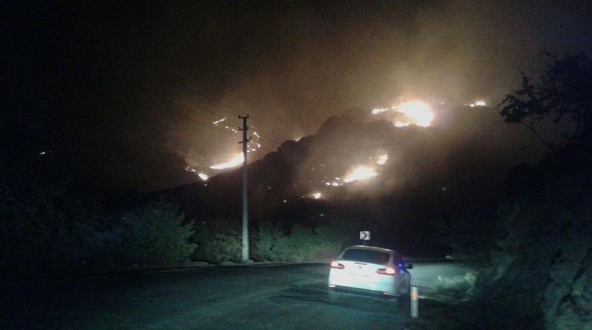 Bodrum&rsquo;da Orman Yangını