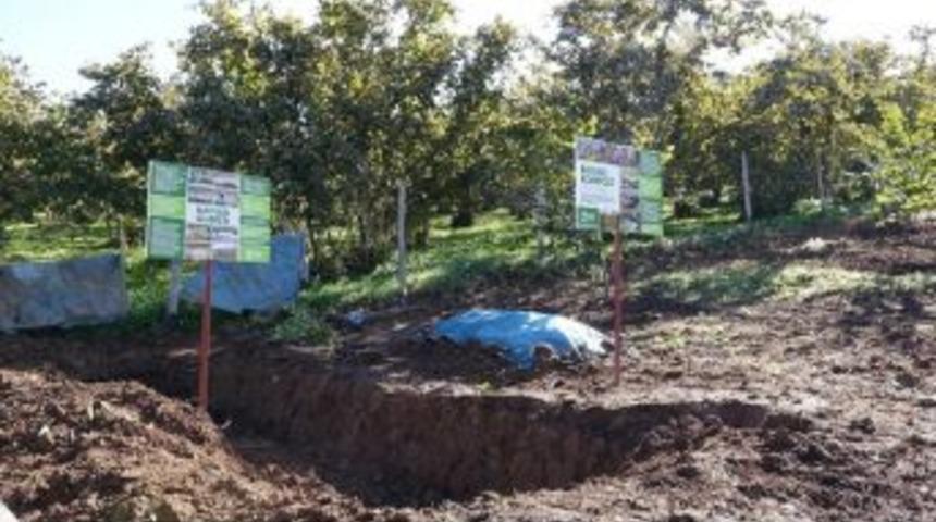 Bahçe Uygulamaları Ve Çiftçi Eğitimleri Verim İle Kaliteyi Arttırıyor