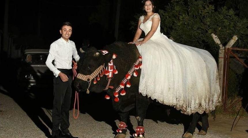 B&ouml;yle Gelin Aracı G&ouml;r&uuml;lmedi