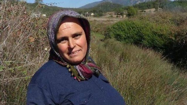 Bataklığa Saplanan Inek, 4 Saatte Kurtarıldı 1