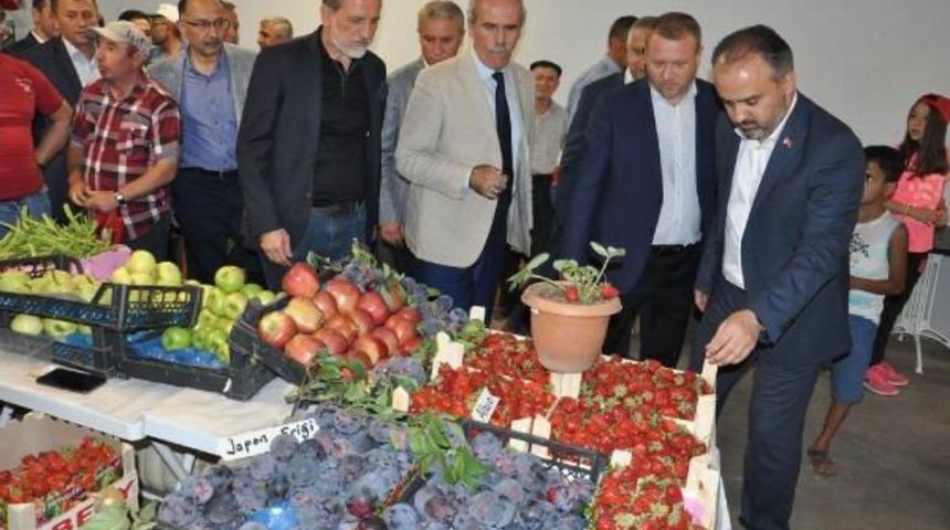 İneg&ouml;l Tarım Fuarı A&ccedil;ıldı