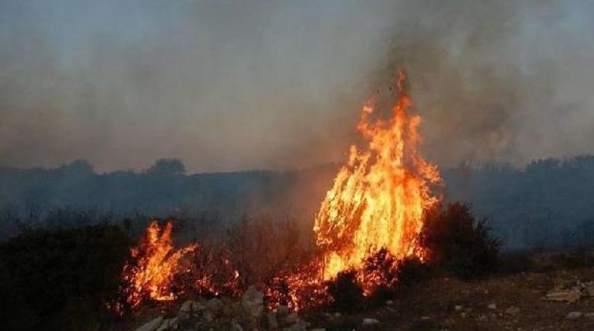 Didim'de 3 Hektar Makilik Alan K&uuml;le D&ouml;nd&uuml;