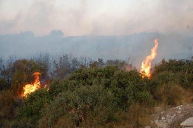 Didim de 3 Hektar Makilik Alan Küle Döndü 3
