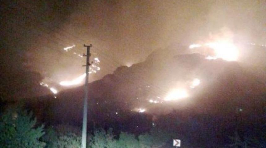 Alevler, 10 Hektarlık Makilik Alanı K&uuml;le &Ccedil;evirdi