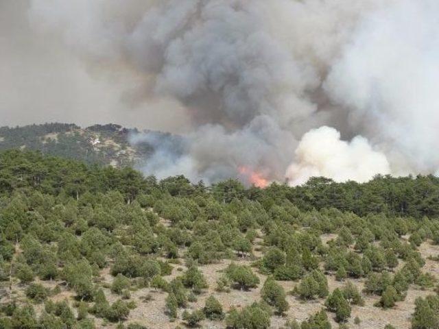 Kütahya'daki Orman Yangını Devam Ediyor