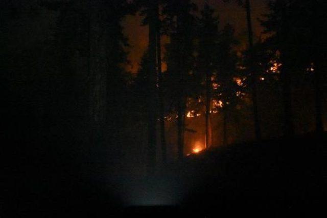 Kütahya'daki Orman Yangını Devam Ediyor