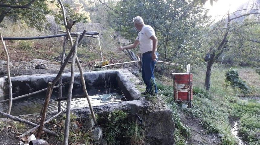 İlgin&ccedil; Domuz Kovma Y&ouml;ntemi
