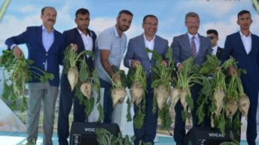 Kayseri Şeker &Ccedil;ift&ccedil;isi, Randevulu S&ouml;k&uuml;m Sayesinde 45 Milyon Tl Kazanacak