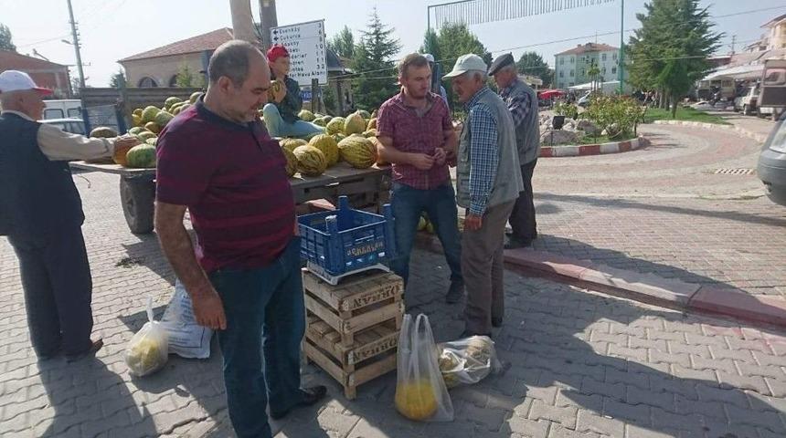 Bu K&ouml;y&uuml;n Tamamı Kavun Yetiştiriyor