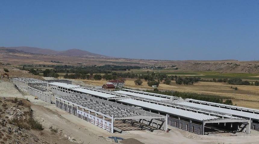 Tarım Ve Hayvancılığa Büyükşehir’den 15 Milyon Tl’lik Destek