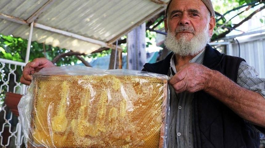 Bal Peteğinde Şaşırtan Fig&uuml;r