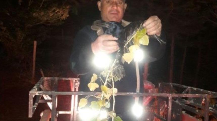 İtfaiyeden Kuş Kurtarma Operasyonu