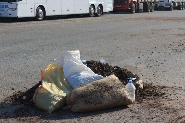 Ferrero Değerli Tarım Zirai İşler Müdürü Arıkoğlu: “yüz Binlerce Ton Fındık Zurufu Heba Olmasın” 1
