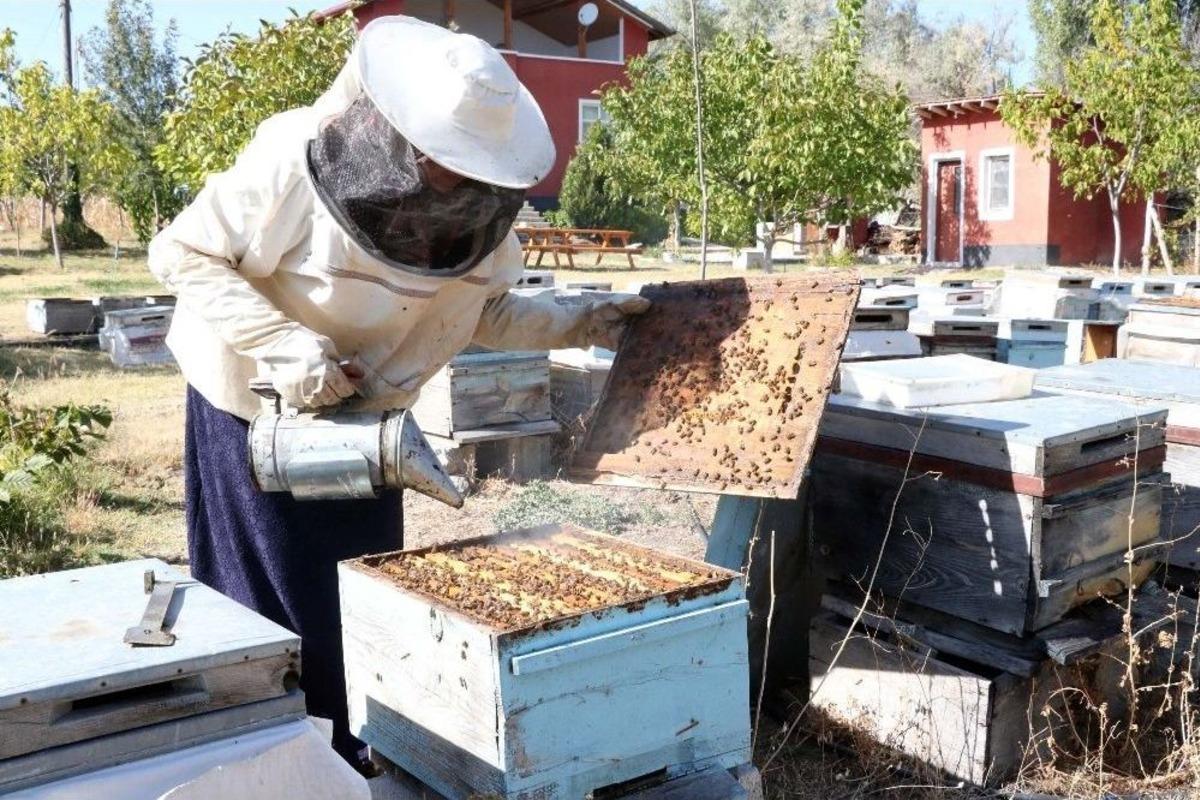 3 Kovan İle İşe Başlayan Ev Hanımı Yılda 1.5 Ton Bal &Uuml;retiyor