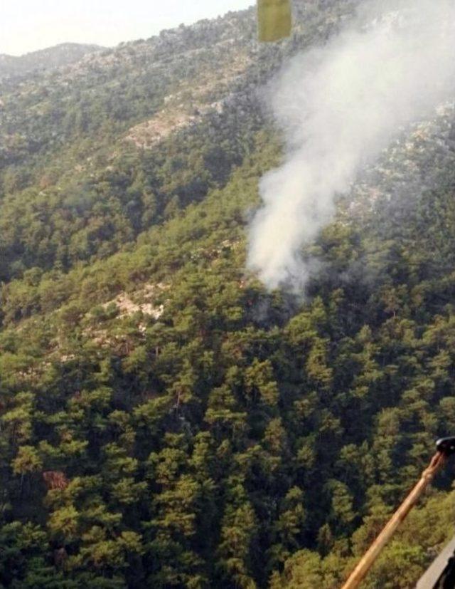 Fethiye’de Orman Yangını