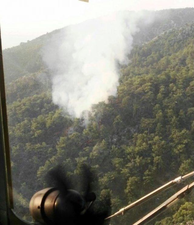 Fethiye’de Orman Yangını