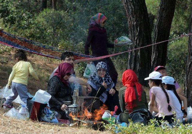 Osmangazi Ailesi Piknikte Buluştu