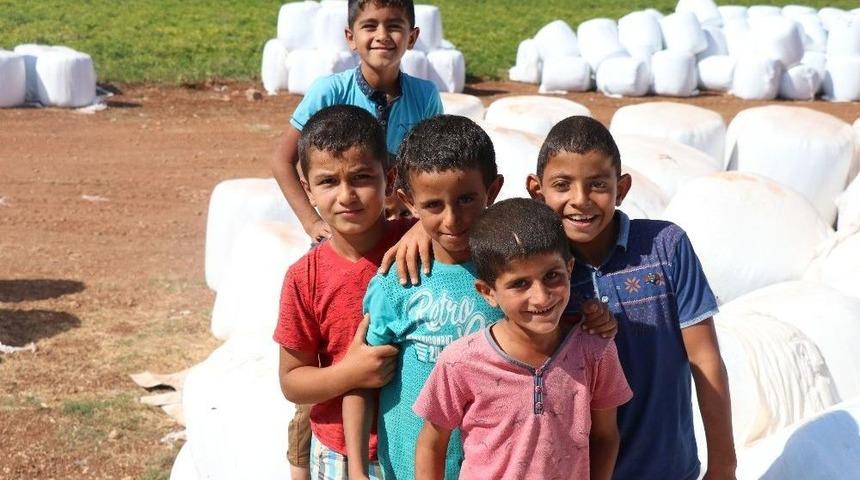 İdlib İntikali Sığınmacılara Umut Işığı Oldu