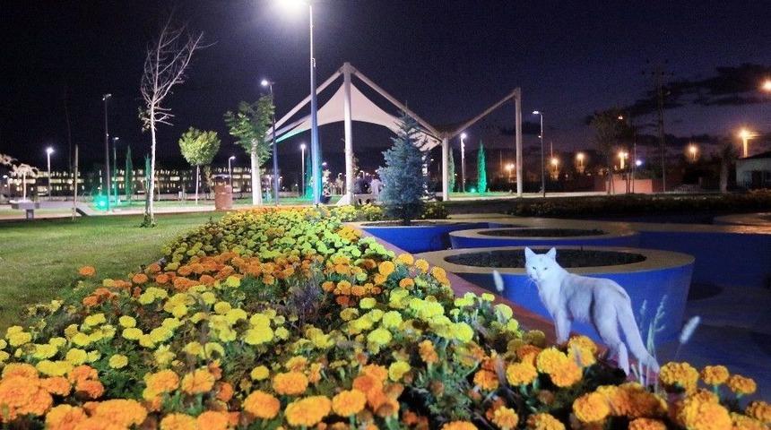 Van&rsquo;daki Parklarda Aydınlatma &Ccedil;alışması