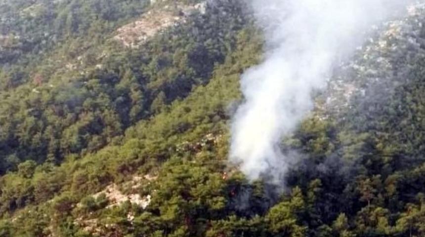 Fethiye'de Alevler 2 D&ouml;n&uuml;m &Ccedil;am Ormanına Zarar Verdi