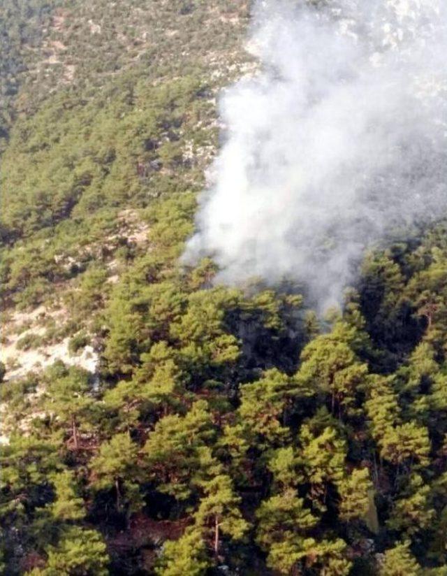 Fethiye de Alevler 2 D&ouml;n&uuml;m &Ccedil;am Ormanına Zarar Verdi 1
