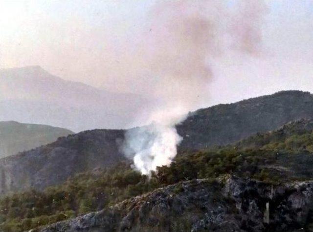 Fethiye de Alevler 2 D&ouml;n&uuml;m &Ccedil;am Ormanına Zarar Verdi 2