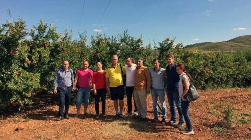 Ruslar, Nar Ve Patlıcan Ihracatı I&ccedil;in Geldi