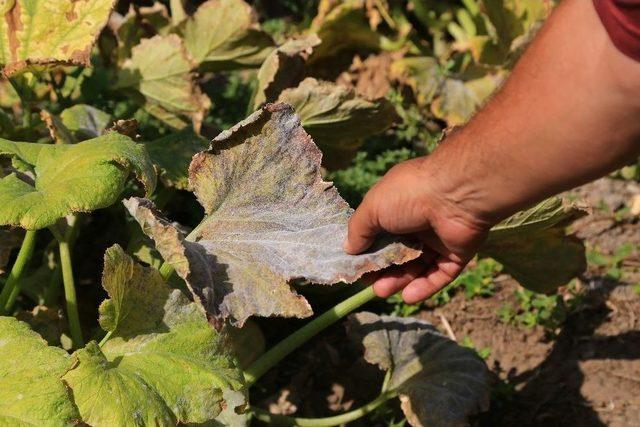 Sincan’daki Organize Sanayi Bölgesi’nde 7 Kişi Gazdan Zehirlendi