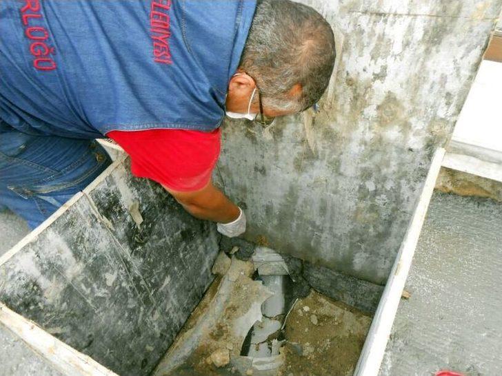 İstiklal Caddesi‘ndeki Fareler İçin İlaçlı Önlem G1