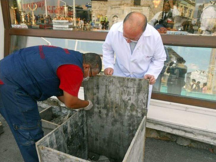 İstiklal Caddesi‘ndeki Fareler İçin İlaçlı Önlem G3