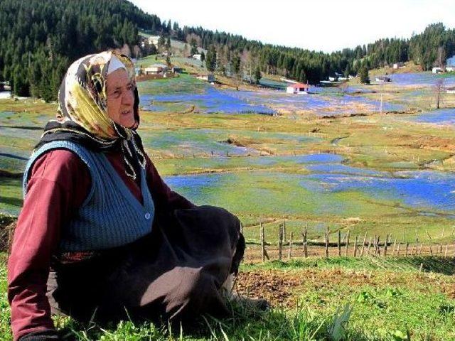 Çevreciler, Kadıralak Yaylası Için Yargıya Gitti