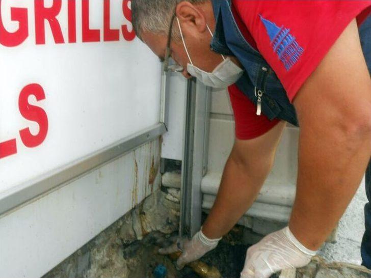 İstiklal Caddesi‘ndeki Fareler İçin İlaçlı Önlem G5