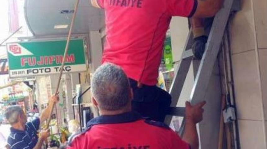 Kepenge Sıkışan Yavru Kediyi İtfaiye Kurtardı