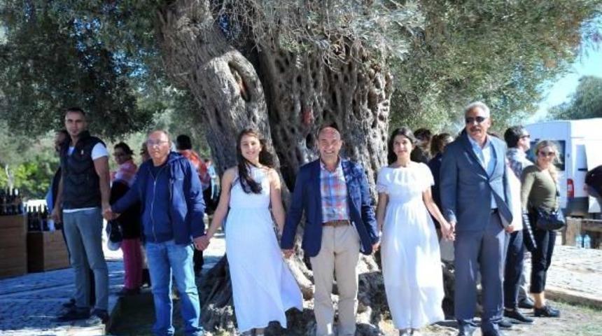 D&uuml;nyanın En Pahalı Zeytinyağı, Seferihisar'da Satıldı