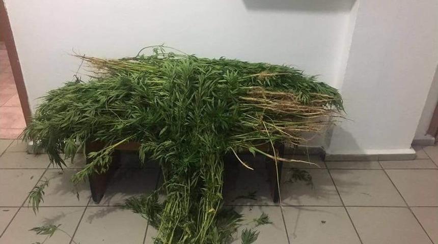 Tatvan&rsquo;da Uyuşturucu Operasyonu