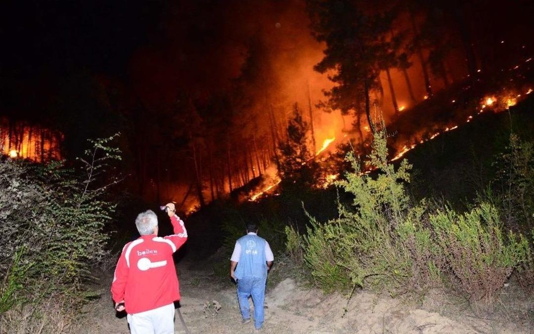 Manavgat&rsquo;ta Aynı Gece 5 Ayrı Orman Yangını