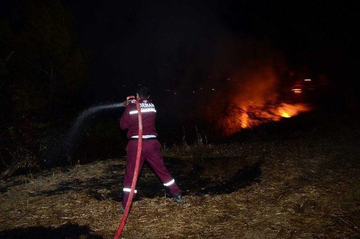Manavgat’ta Aynı Gece 5 Ayrı Orman Yangını G2