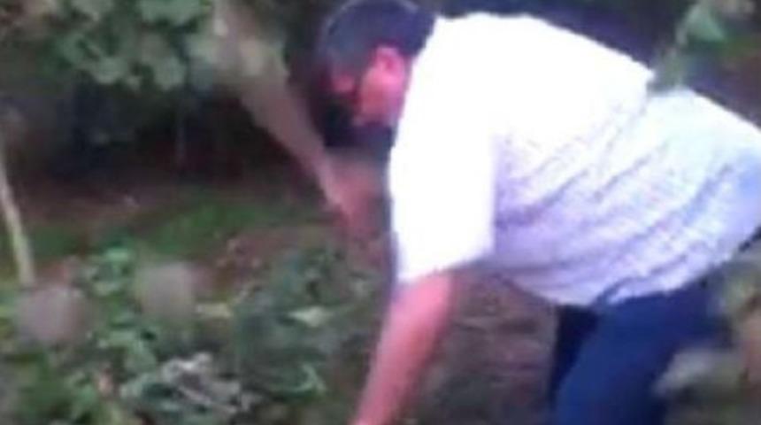 D&uuml;ş&uuml;k Fiyatı Protesto I&ccedil;in Fındık Yaktılar