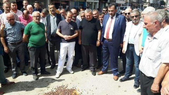 Düşük Fiyatı Protesto Için Fındık Yaktılar