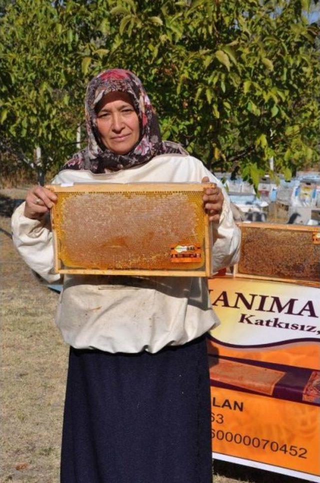 Sorgunlu Hanımağa, Yılda 1.5 Ton Organik Bal Üretiyor