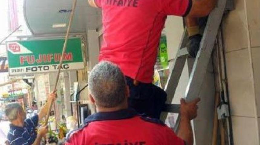 İşyerinin Kepengine Sıkışan Kediyi Itfaiye Kurtardı