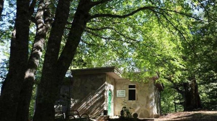 Korkudan Tek Bir Ağaç Bile Kesmiyorlar