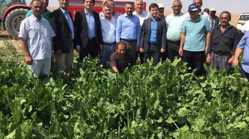 Milletvekili Açıkgöz Pancar Hasadı Yapan Çiftçileri Yalnız Bırakmadı