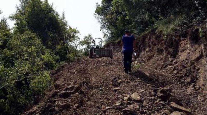 Ormanda Doğum Yapan Inek 3 Gün Sonra Kurtarıldı