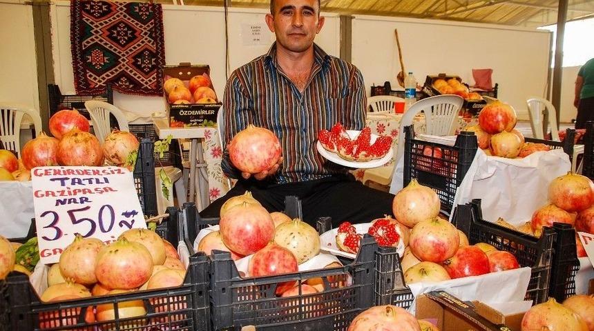 Sadece Gazipaşa’nın Bazı Mahallelerinde Yetişiyor, Rusya Pazarındaki Seçkin Müşterilere Gidiyor